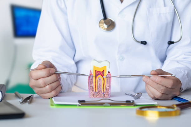 Best Emergency Dental Services Near Me  in Chenoa, IL